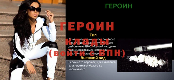 apvp Ельня