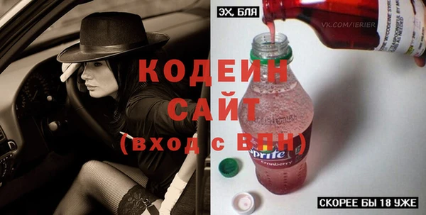 хмурый Елизово