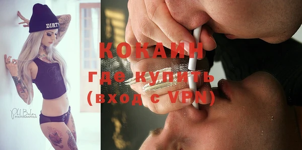 apvp Ельня