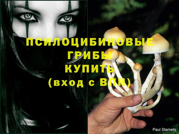 apvp Ельня