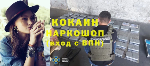 apvp Ельня