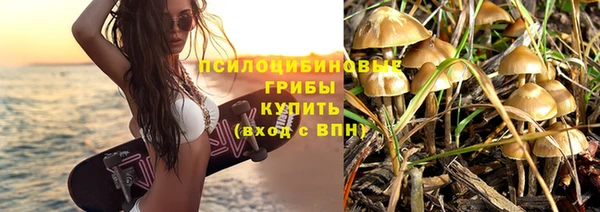 бутират Елабуга