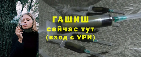 apvp Ельня