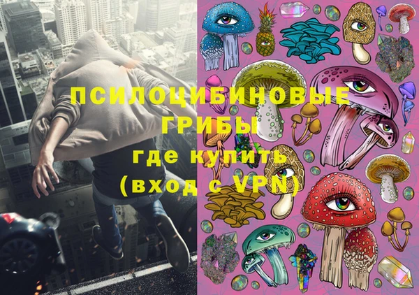 бутират Елабуга