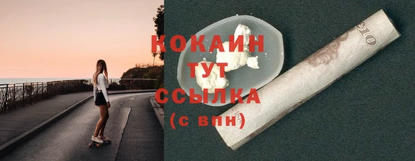 apvp Ельня